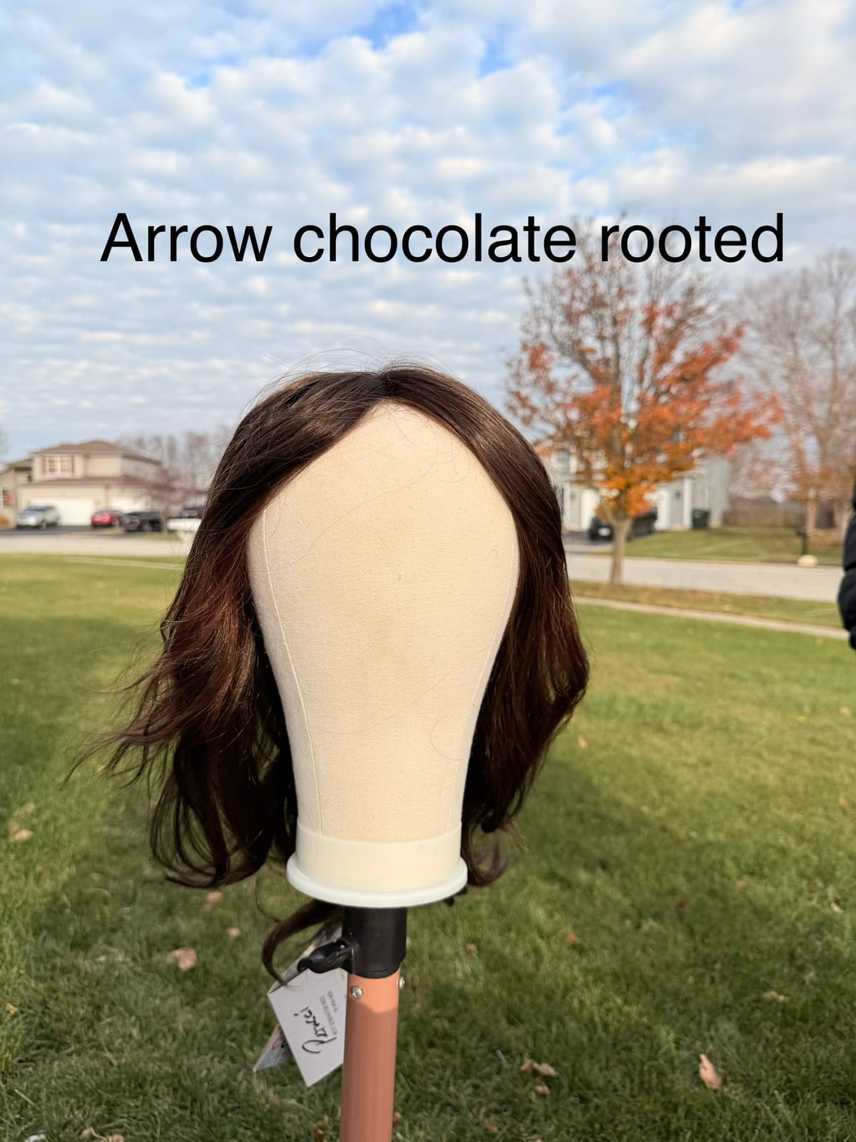 EW Arrow in chocolate rooted